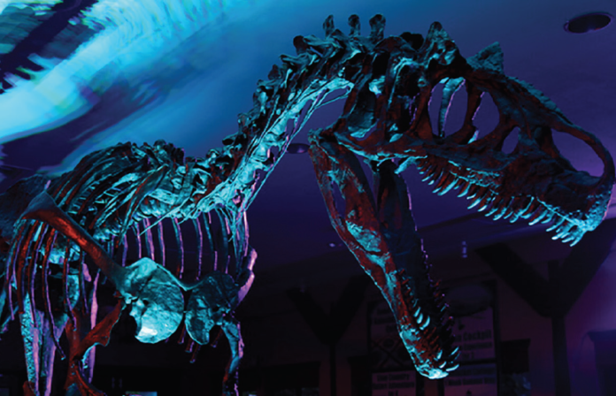 Allosaurus, owned by local paleontologist, to be guest of honor at the 2018 Taste of History August 18, at the Headwaters Center.