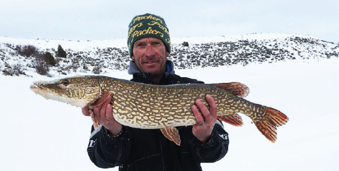 Perry Apfelbeck holds holds his 36 inch Northern Pike that earned him a $1000.