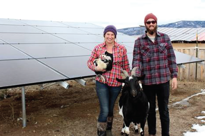Lauren & Matthew Arcay, past rebate recipients of MPE’s Green Power, pose with their chicken, goat and solar array at their property in Rand, Colo.