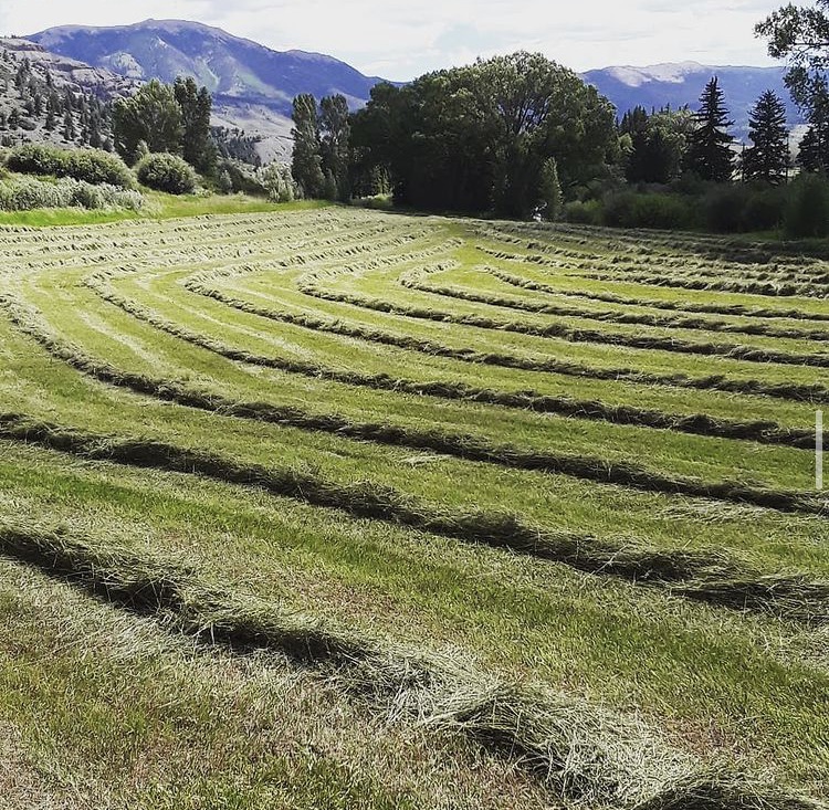 Harvesting Hay: the process - Grand Gazette