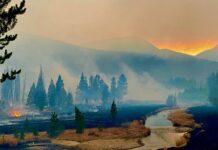 Freeport-McMoRan Foundation Partners in Response to Ongoing Challenges to Resilience – Announces 2022 Henderson Operations Social Investment Grant Recipients